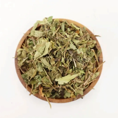 건조한 삼백초 전초