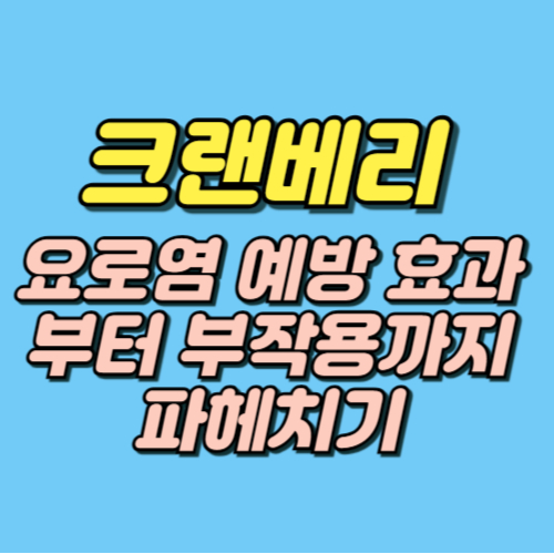 크랜베리 효능 부작용