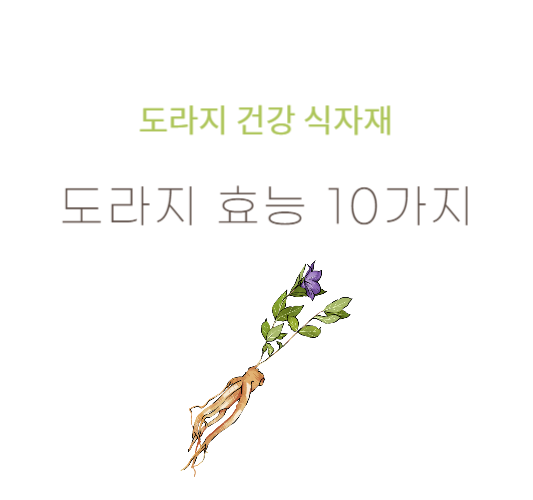 도라지의-효능
