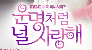 운명처럼 널 사랑해 포스터