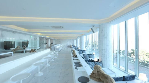Cafe Byul Bed