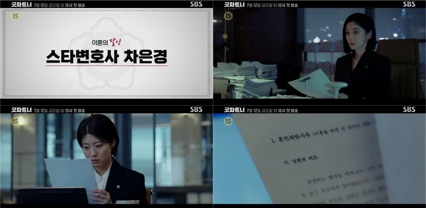 드라마 굿파트너