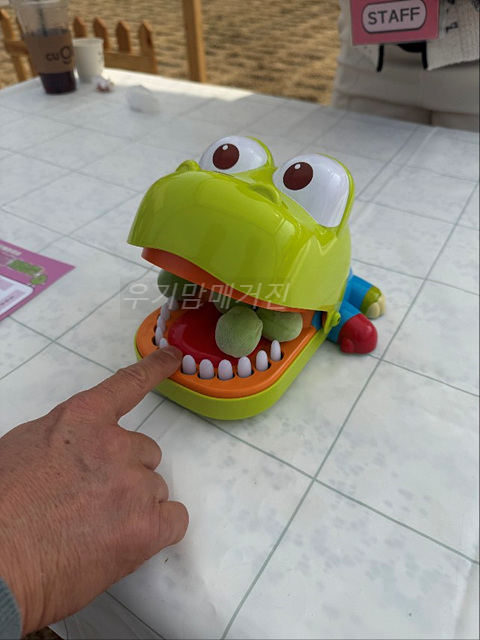 광양매화축제 기간 입장료 개화상황 프로그램 주차장 셔틀버스 25년3월8일실시간사진