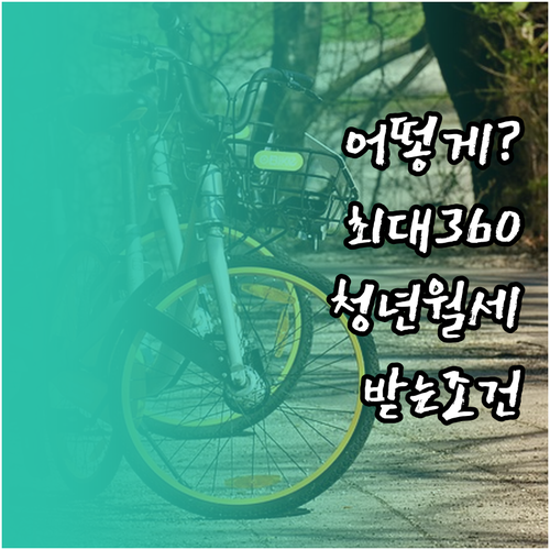 2026 태백시 청년월세 최대 360..