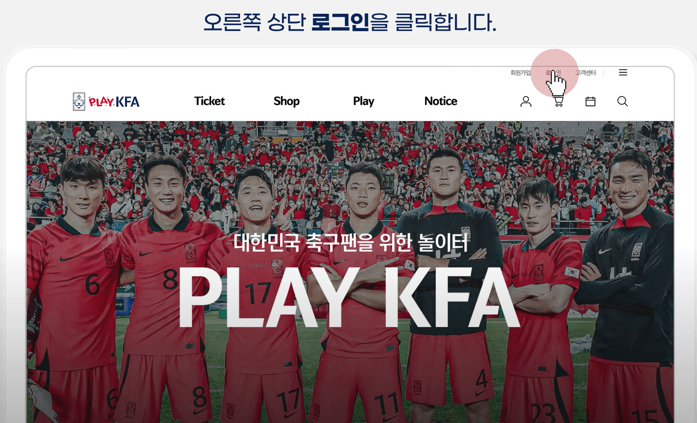 로그인 및 회원 정보 확인