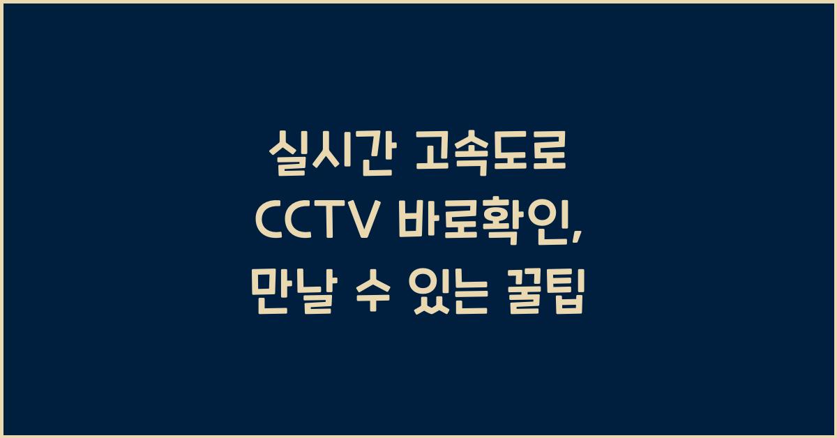 실시간 고속도로 cctv 바로확인