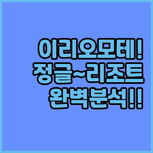 이리오모테섬 정글 호텔부터 럭셔리 리..