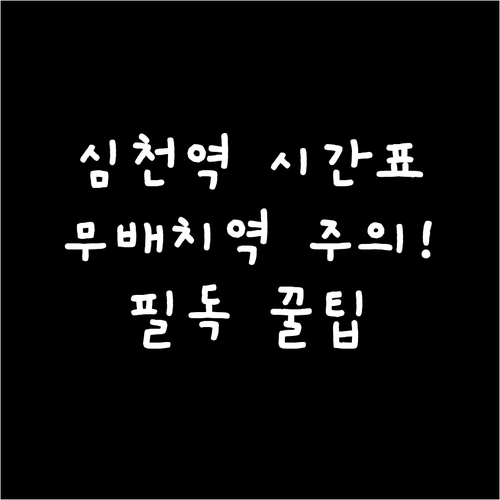 심천역 기차 시간표 정리와 무배치역 ..