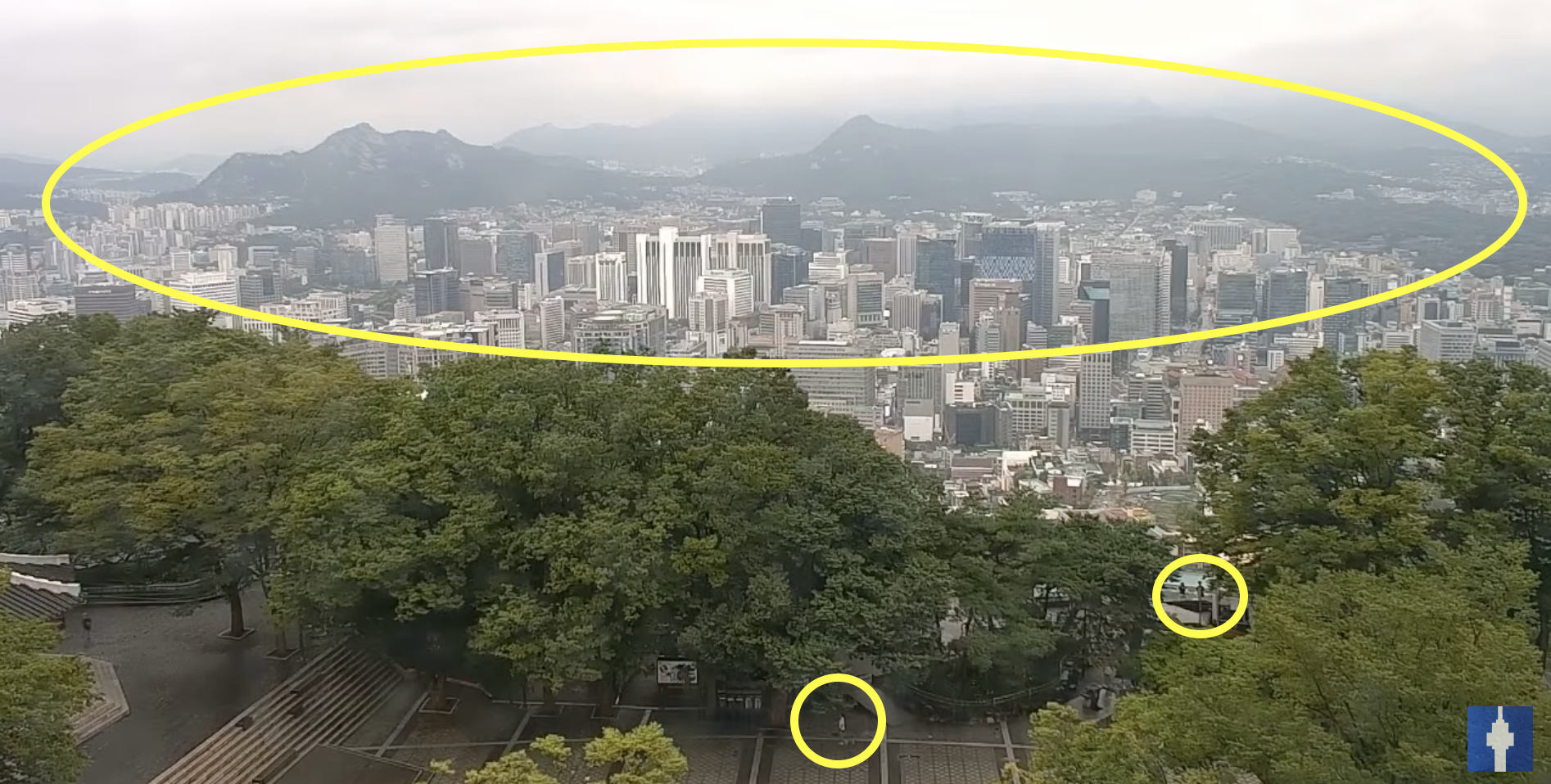 서울 실시간 날씨