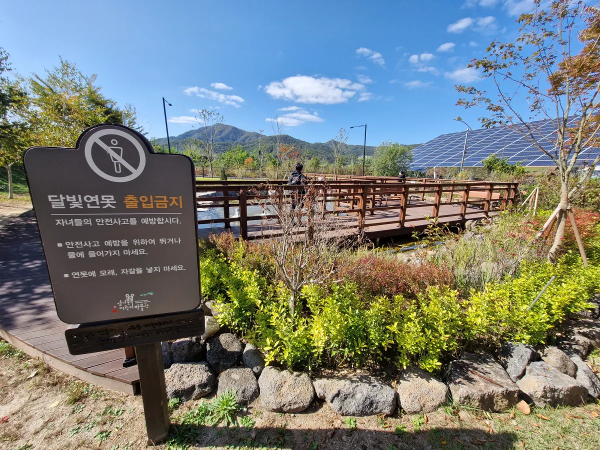 어린이박물관-달빛연못