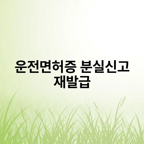 운전면허증 분실신고 재발급