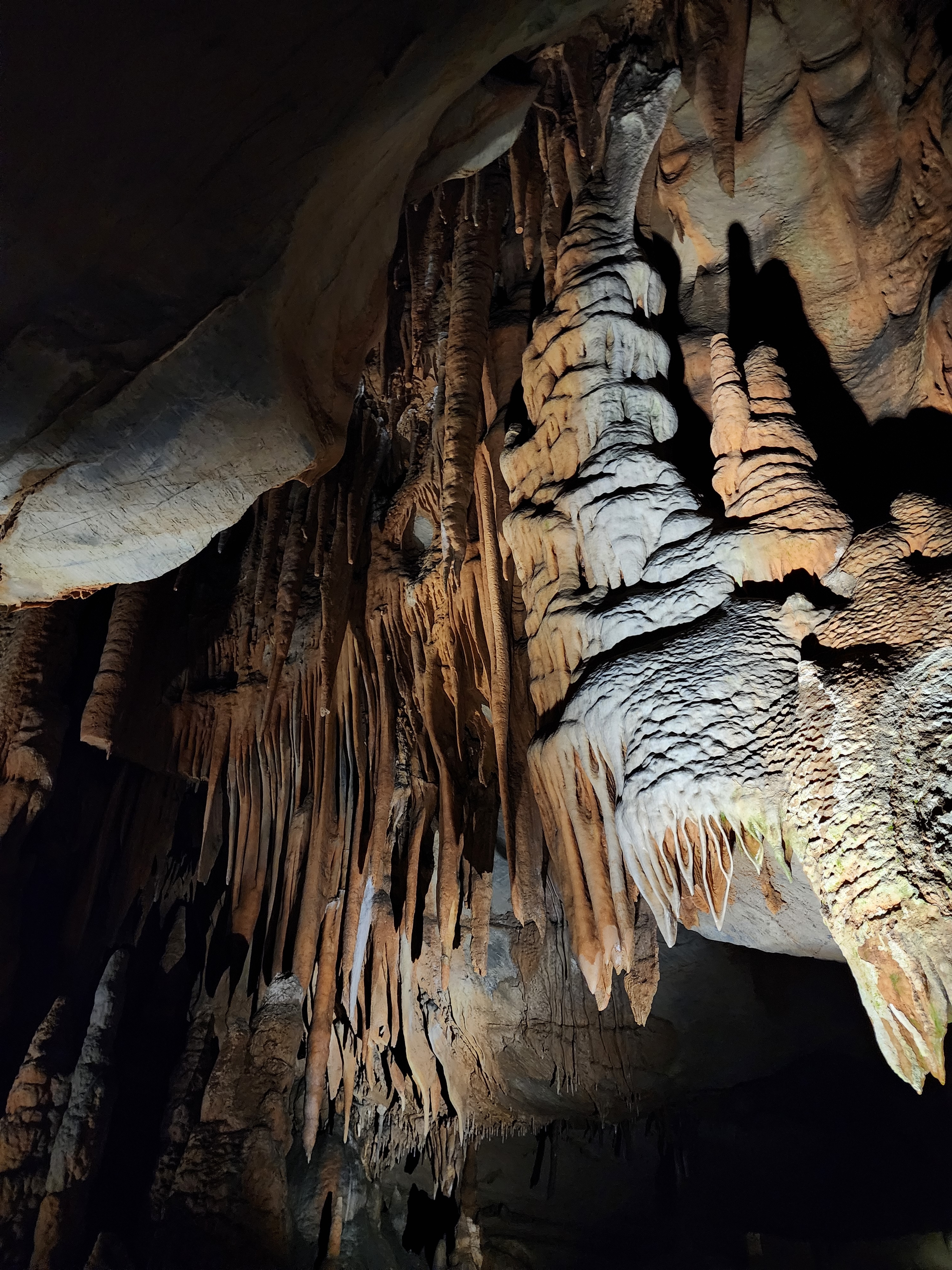 단양고수동굴 1