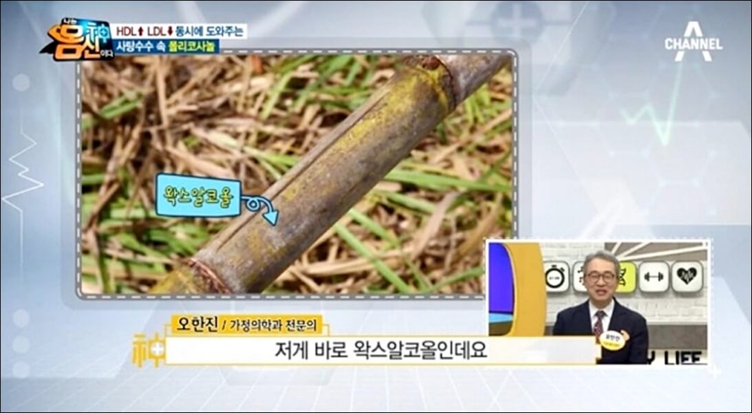 폴리코사놀 효능 부작용 총정리