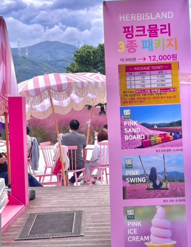 포천 허브아일랜드-핑크뮬리
