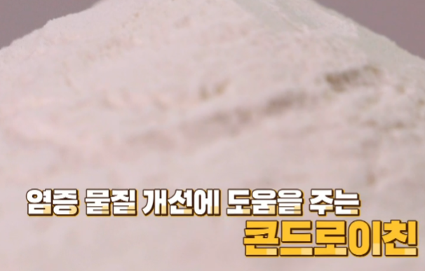콘드로이친