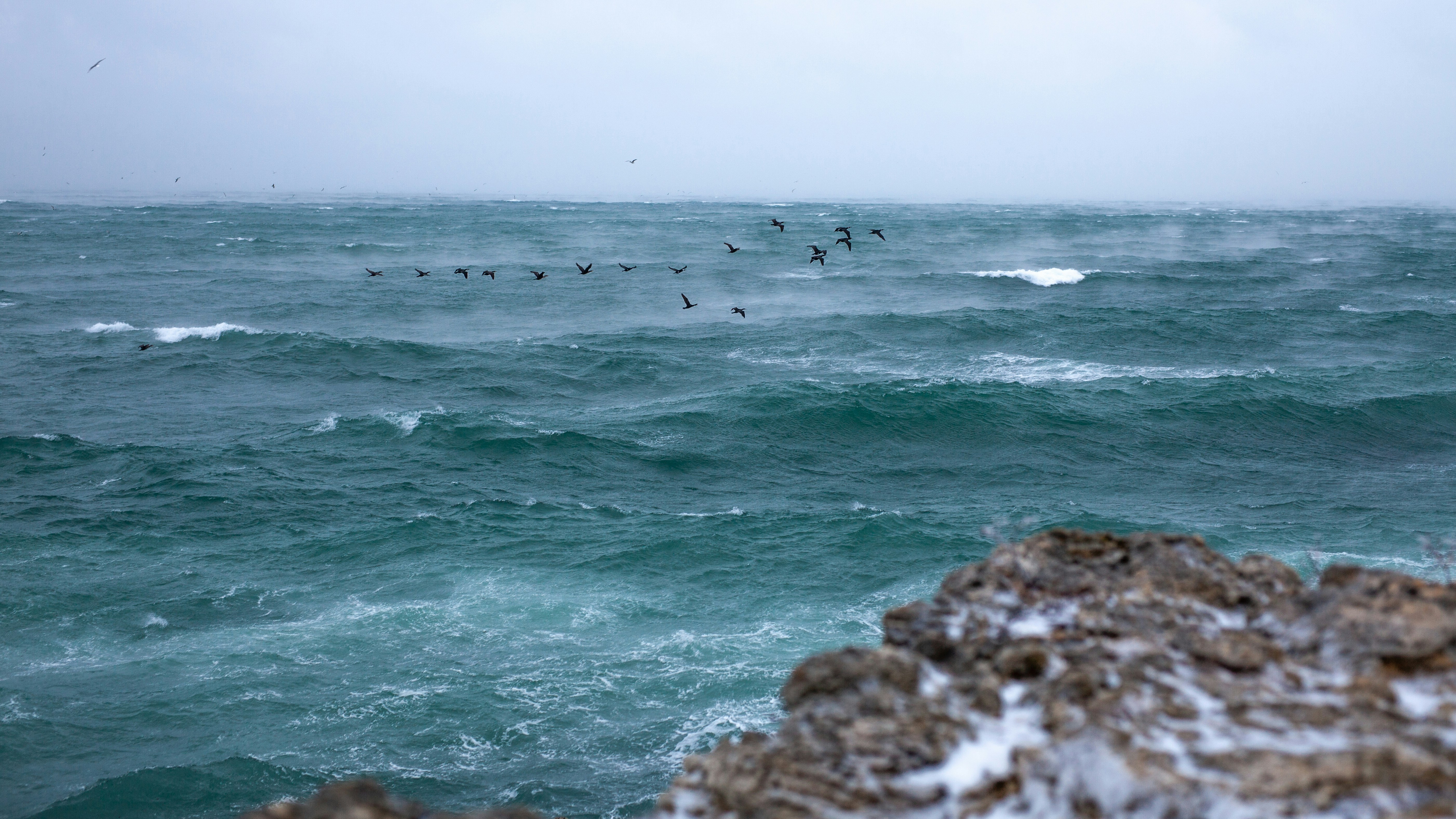 겨울바다 관련 사진