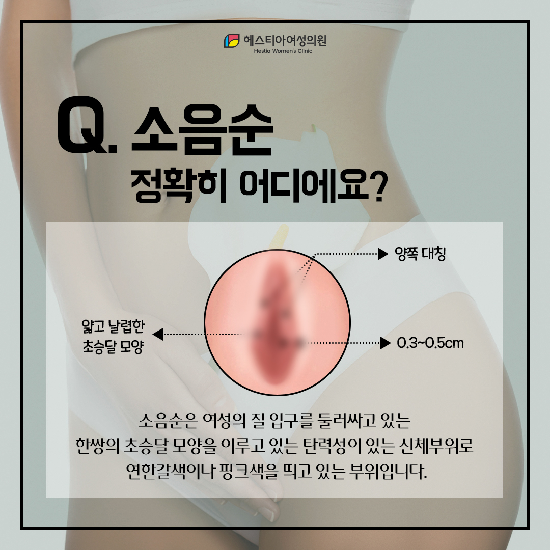 소음순이란 부위는 정확히 어디일까요?
