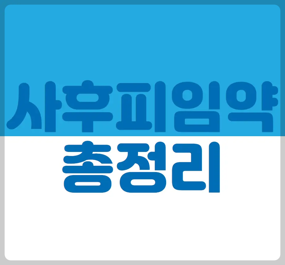사후피임약 총정리