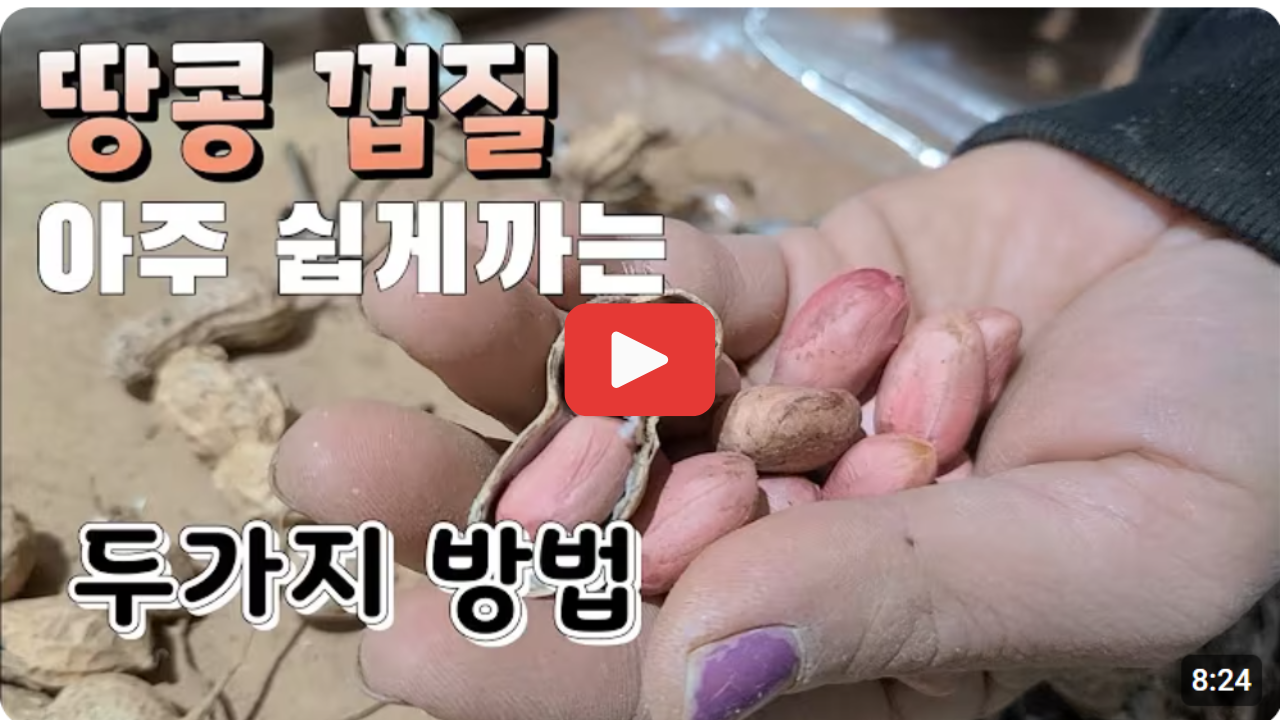 땅콩껍질 쉽게까는법