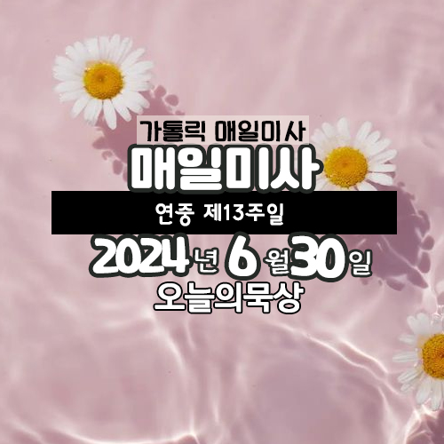 6월 30일 매일미사