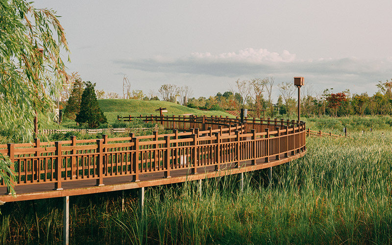 파주 평화누리캠핑장
