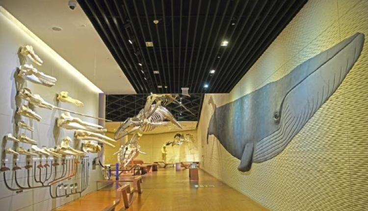 국립해양생물자원관