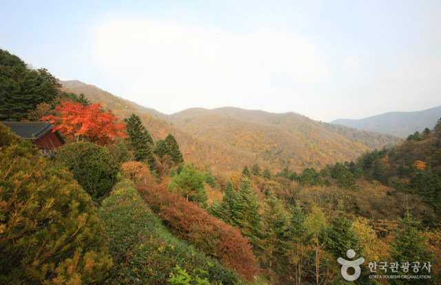 오대산 등산 지도