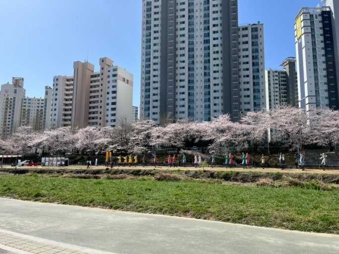 온천천 가는법 벚꽃 시즌 산책 코스 주차 정보