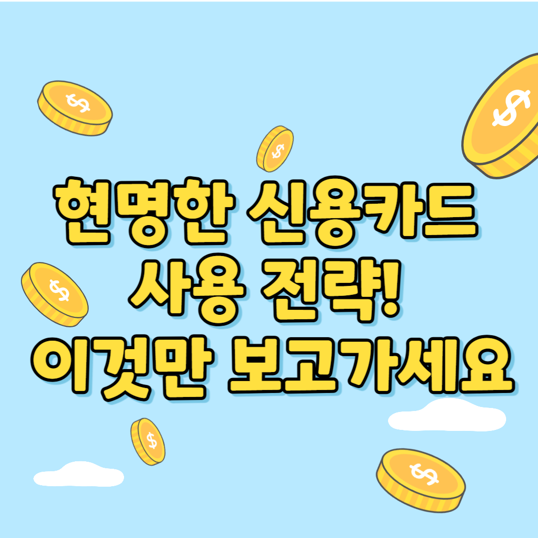 신용카드사용전략