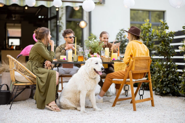 펫 다이닝 파티오 (Pet Dining Patio): 일반 레스토랑과는 분리된 쾌적한 야외 테라스나 지정 구역에서 보호자가 반려동물과 함께 식사를 할 수 있도록 허용합니다. 이는 외식 시 반려동물을 객실에 홀로 두어야 하는 보호자의 부담을 크게 줄여줍니다.