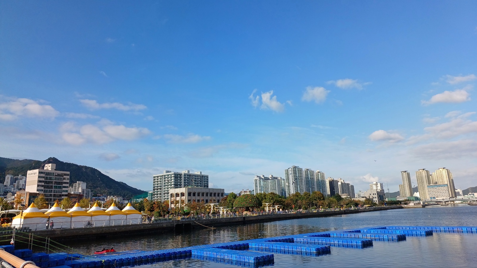 마산국화축제1234