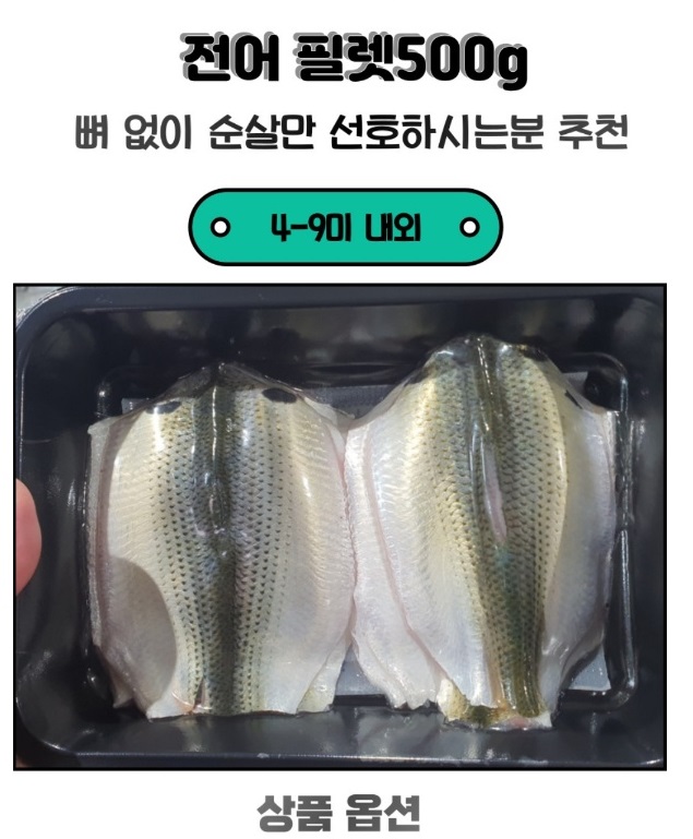 부산-진목항-전어