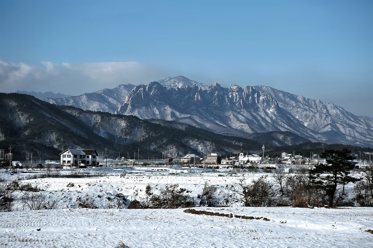 겨울왕국을 만나다: 눈꽃과 얼음의 장관이 펼쳐지는 강원도의 여행지