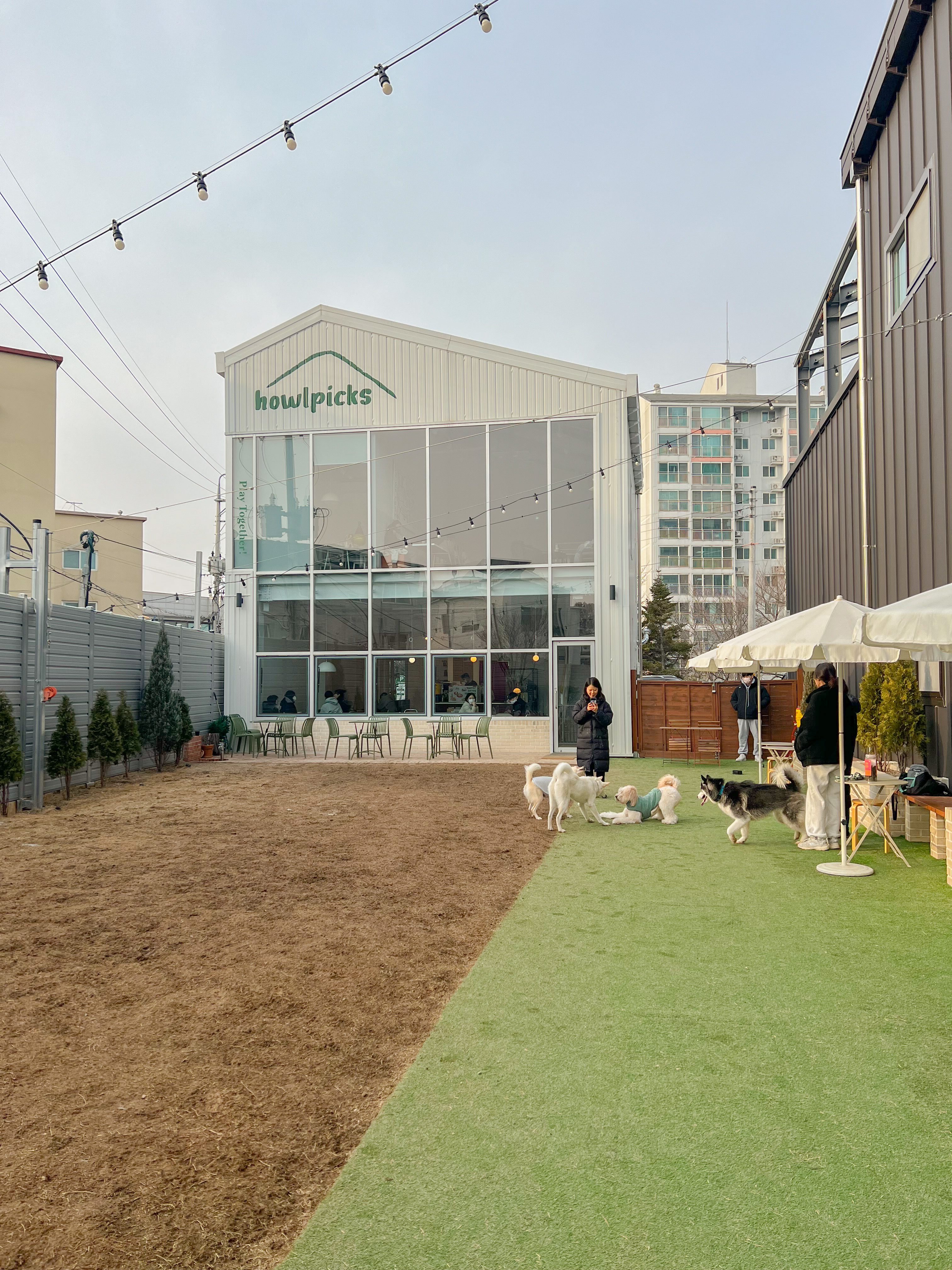 서울근교 애견동반카페