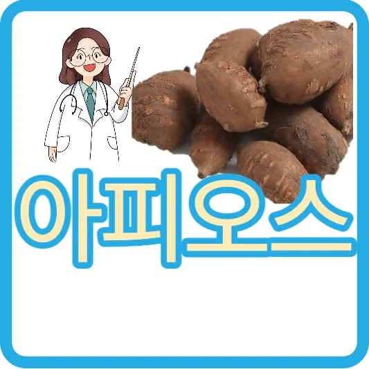 항염효과 인디언 감자 아피오스 인디안 감자 아피오스 효능