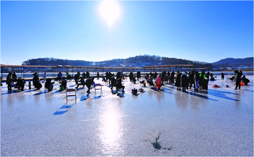 강화양오빙어축제