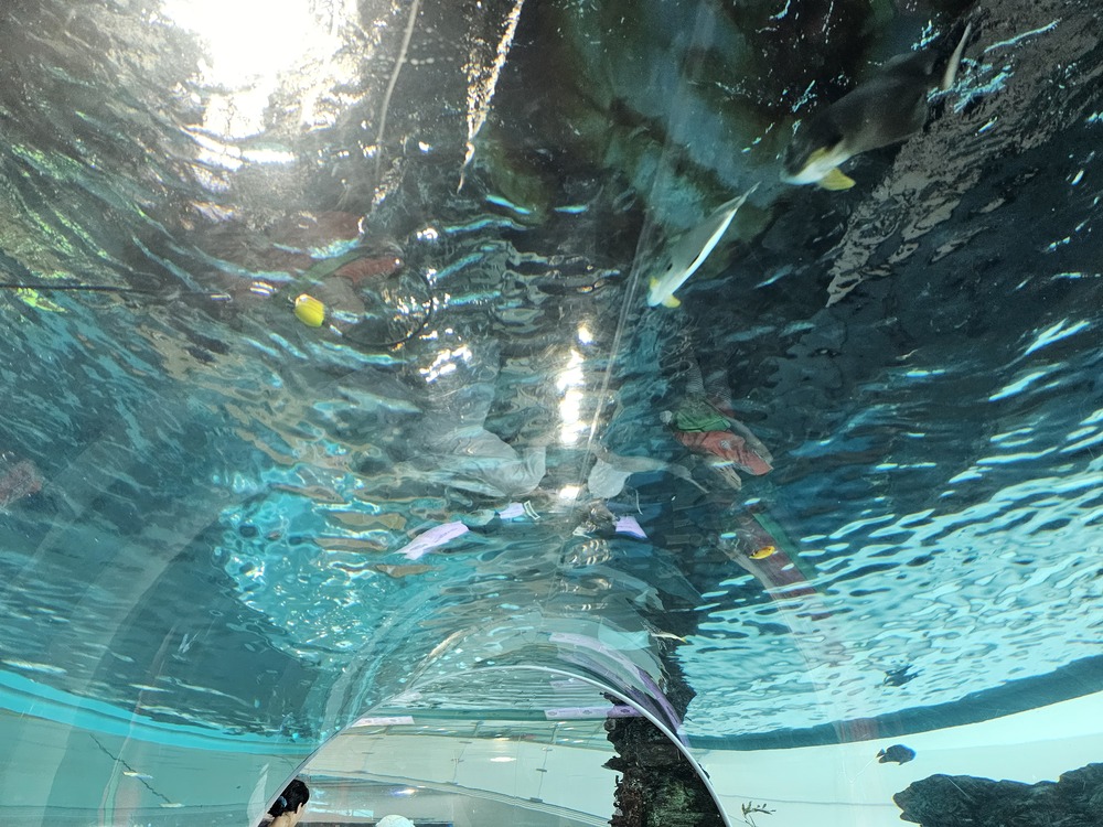 국립해양박물관전시해설