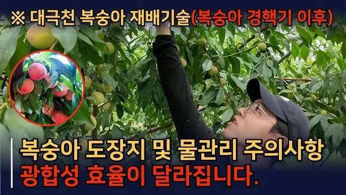 하우스 재배 물관리 점적관수 타이머 EC pH 양액 관리_5