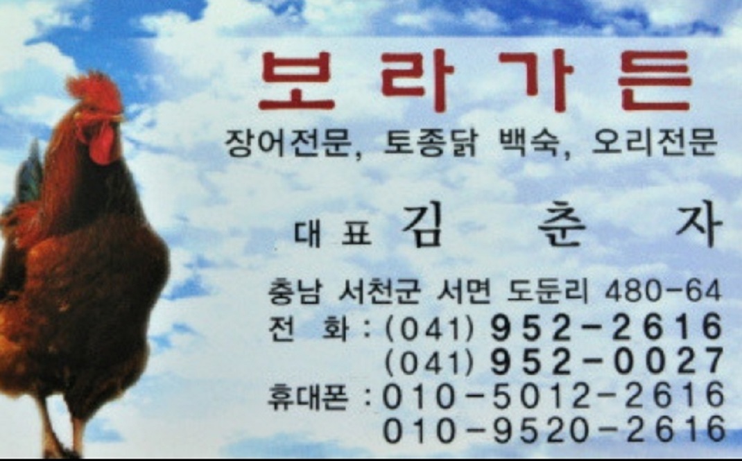 백반기행-서천-옻닭-백숙-김굴해장국-태진아-장어