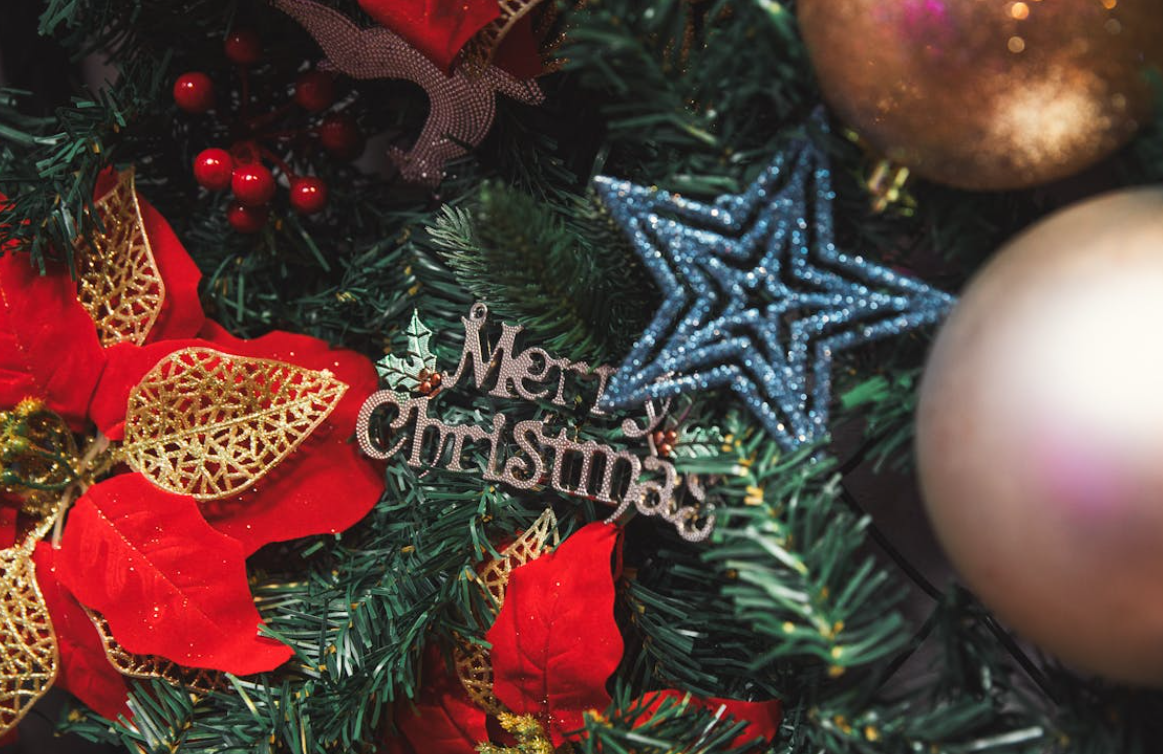 포인세티아와 크리스마스