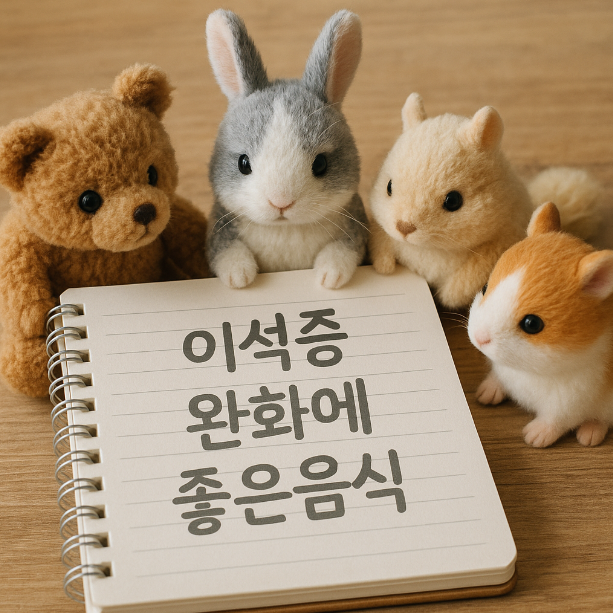 이석증 완화에 좋은 음식