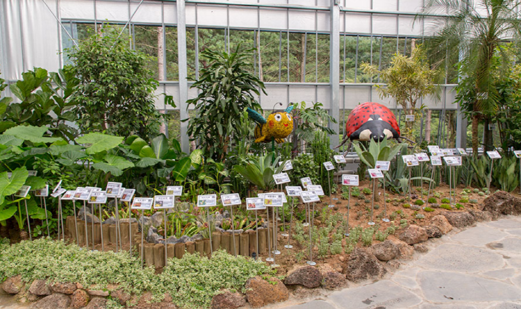 보령 무궁화수목원