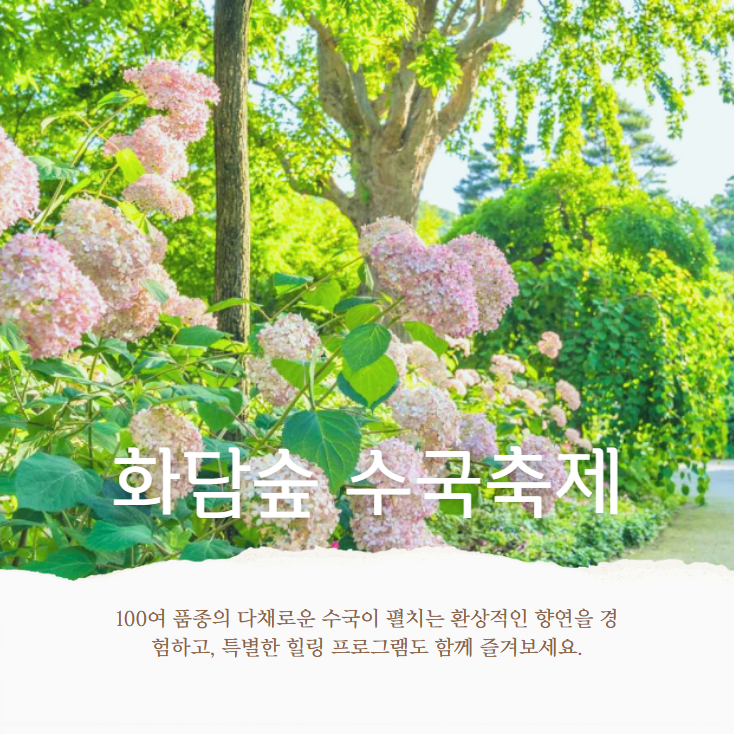 화담숲, 예약, 맛집, 리조트, 수국, 카페, 예매, 화담채, 후기, 반딧불이, 모노레일 가격, 예약 오픈 시간, 사진, 예약방법, 예약 없이