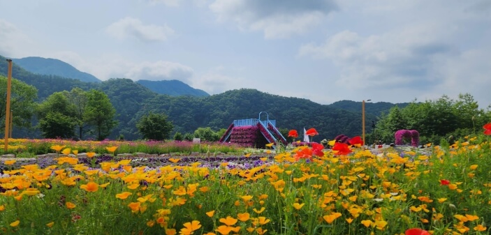자라섬 꽃축제(꽃 페스타)