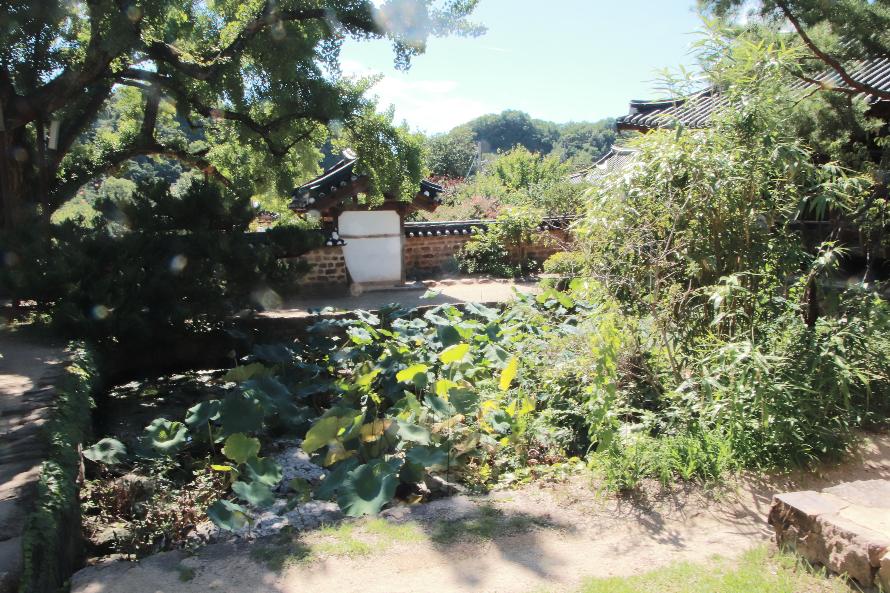 서석지 내부3