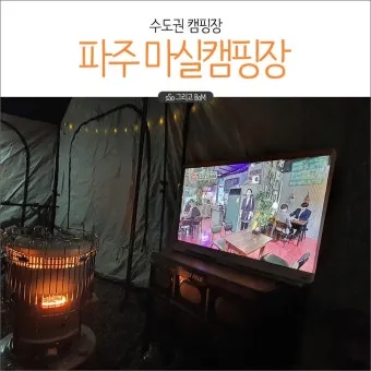 수도권 애견동반 여행지 5선 완벽 가이드 반려견 동반 산책 주말 여행지 추천_8