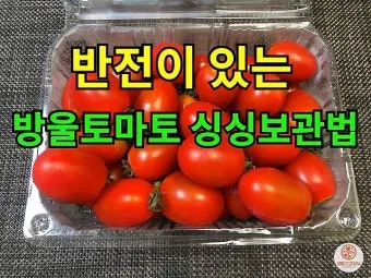2주 이상 방울토마토 보관 시 꿀팁 오래 보관_5