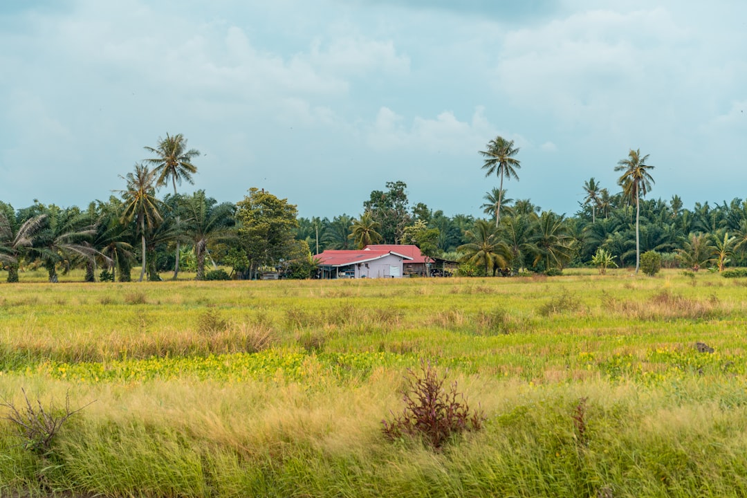 Official land price