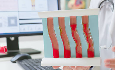 다리 쥐나는 이유