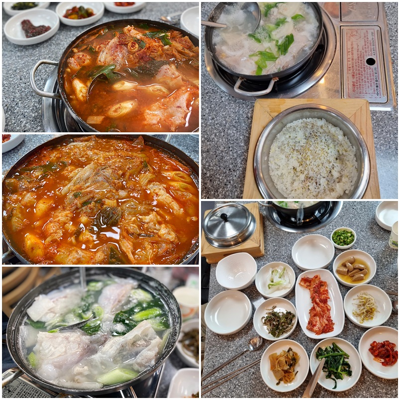 속초 물곰탕 맛집